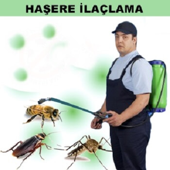 Türkoğlu Böcek İlaçlama